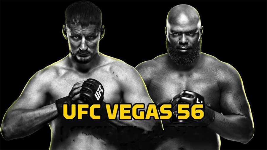 UFC VEGAS 56 Прямая трансляция. Бой Волков - Розенстрайк Смотреть онлайн прямой эфир