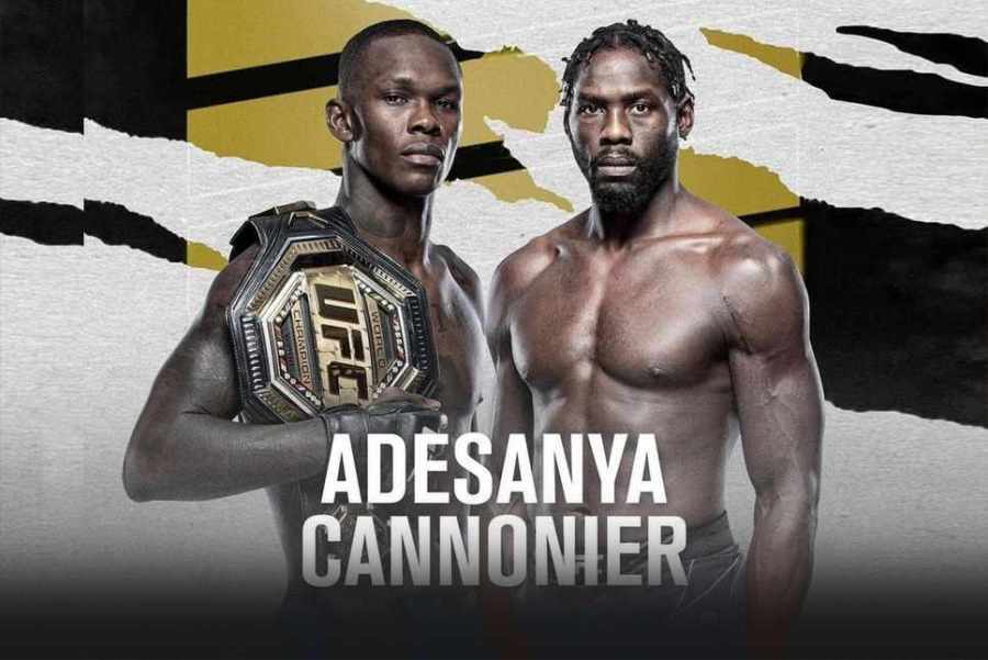 UFC 276 Адесанья - Каннонир Прогноз на бой