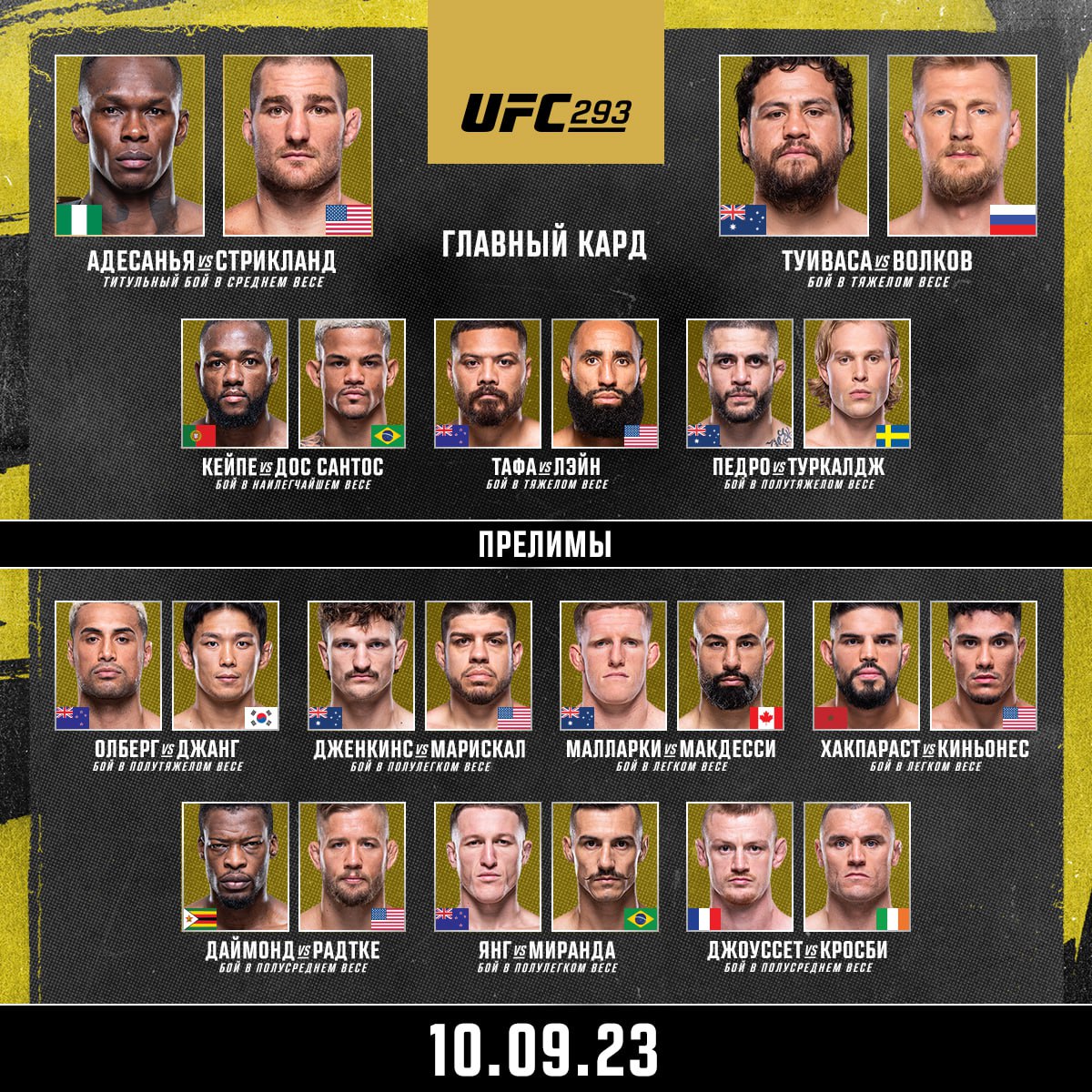 UFC 293