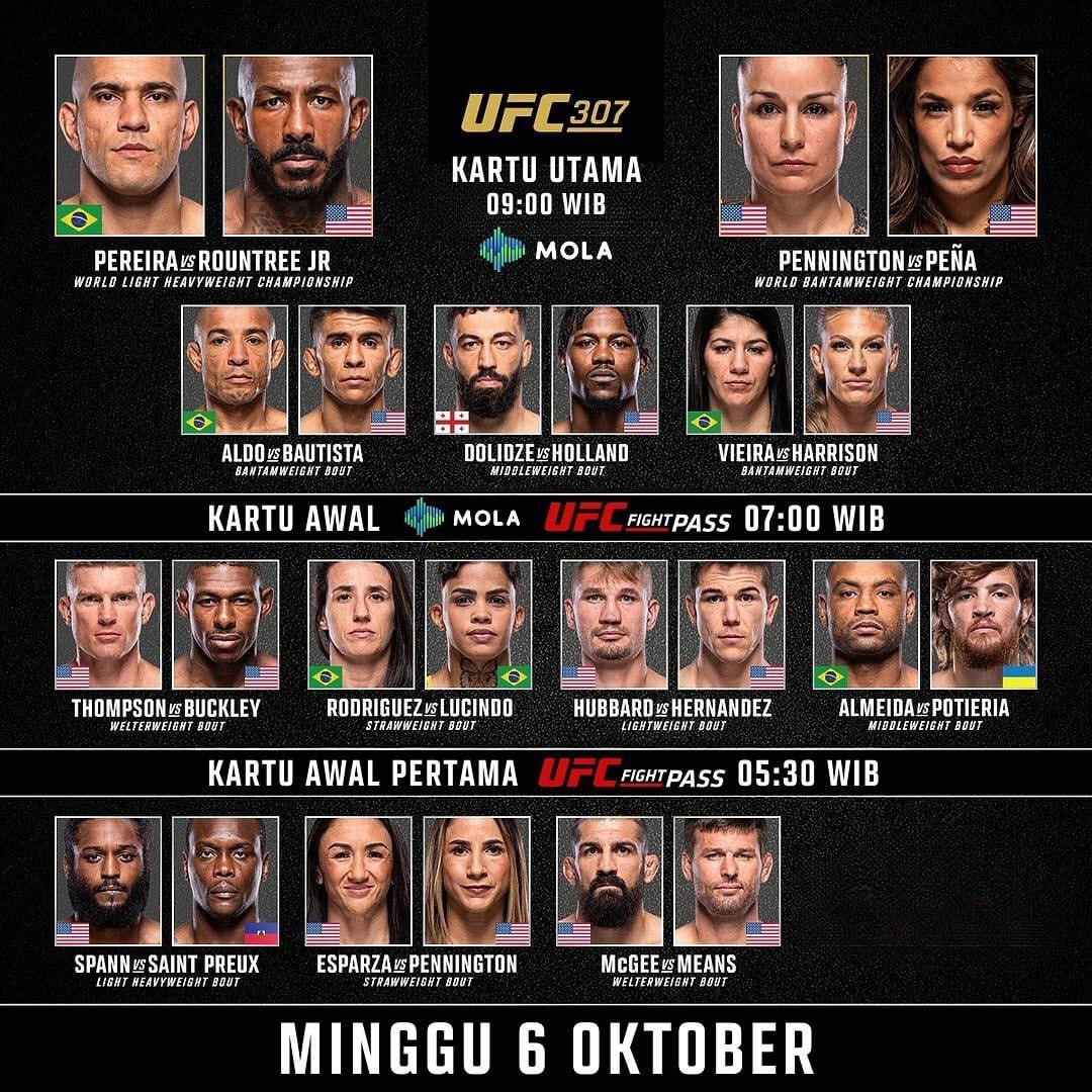 ufc 307