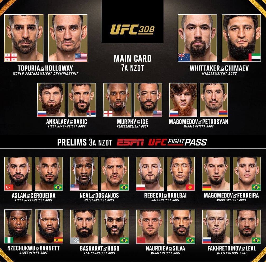 UFC 308