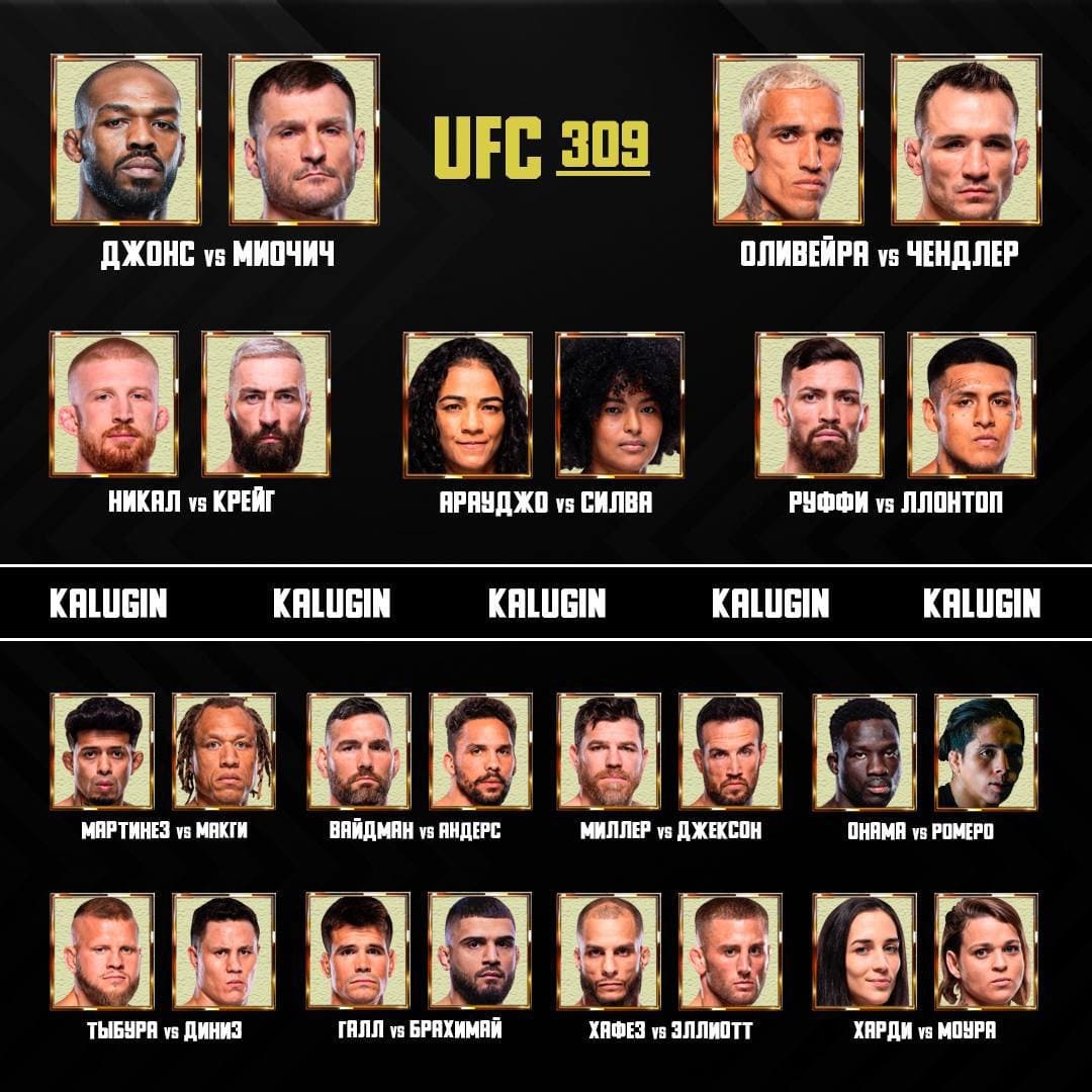 UFC 309