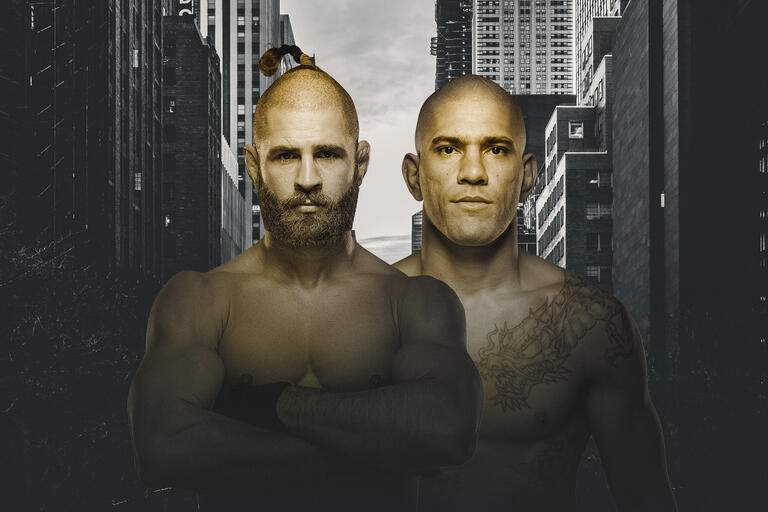 UFC 295: Прохазка - Перейра: Дата, Время, Участники карда и Где Смотреть Прямую Трансляцию